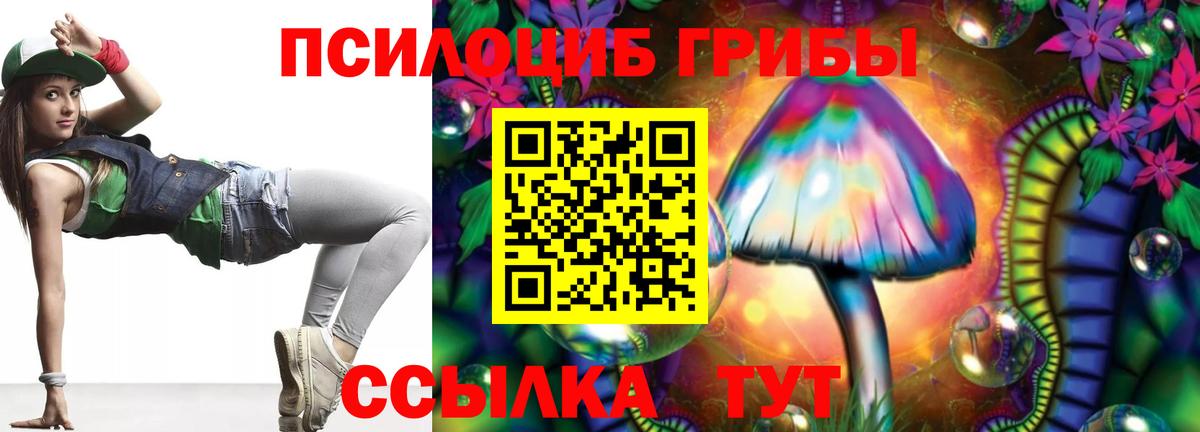 Зеленогорск  где продают   Галлюциногенные грибы GOLDEN TEACHER  Вход с VPN  Галлюциногенные грибы Psilocybe 